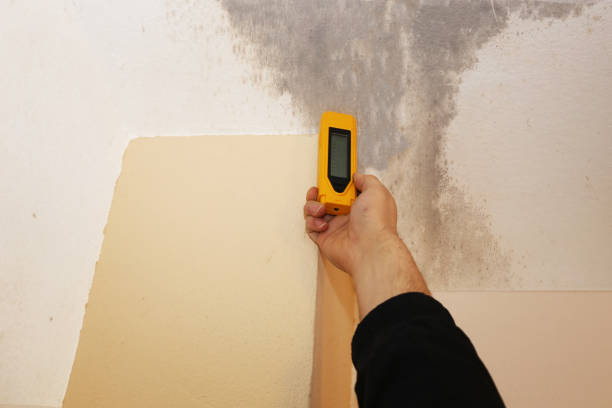 Best Residential Mold Inspection & Testing  in Forsyth, MT