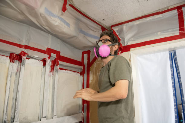 Best Mold Removal for HVAC Installations  in Forsyth, MT