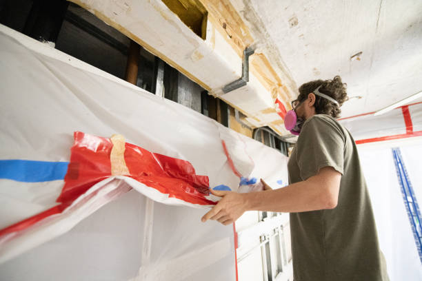 Best Post-Construction Mold Inspection  in Forsyth, MT