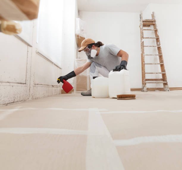 Best Mold Prevention Services  in Forsyth, MT