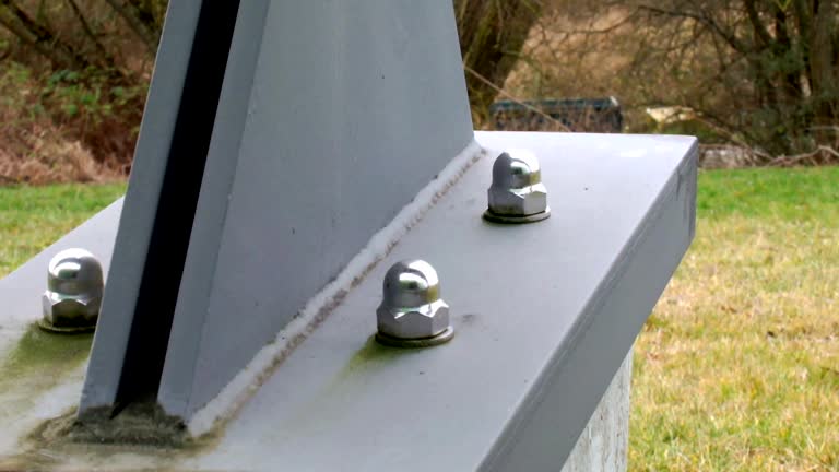  Forsyth, MT Mold Removal Pros